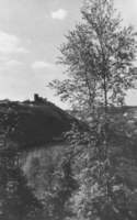 wiosennych promieni